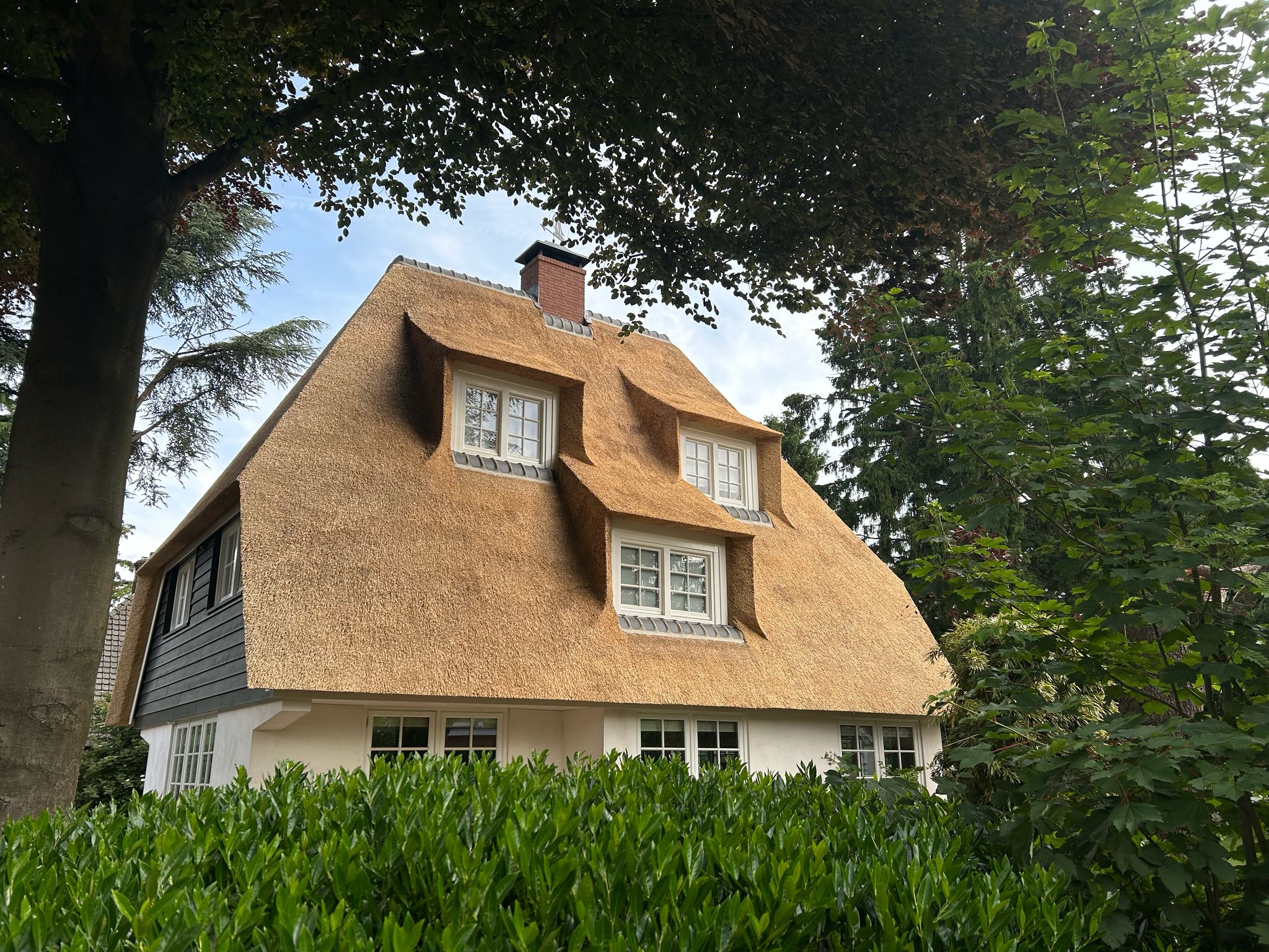 Rietgedekt huis met SelectReed dakriet